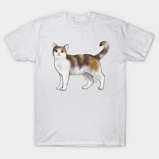 Cat - American Wirehair - White and Calico T-Shirt